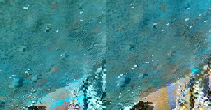 osmose også kaldet glasfiberpest